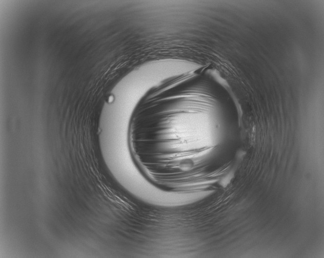 X0000051250558200507082153