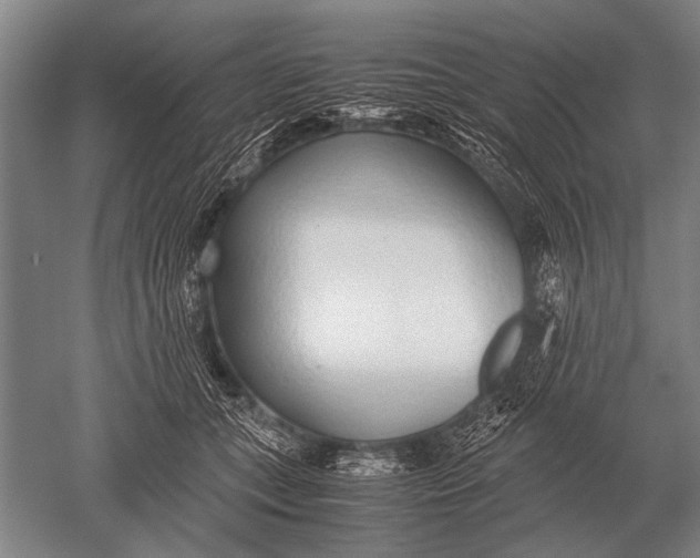 X0000051250559200507082153