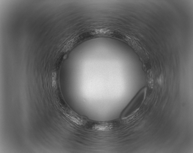 X0000051250563200507082153