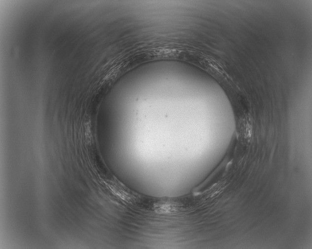 X0000051250564200507082153