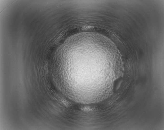 X0000051250565200507082153