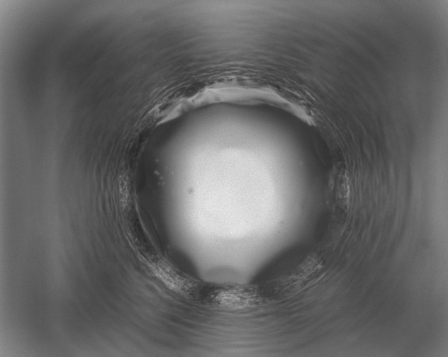 X0000051250568200507082153