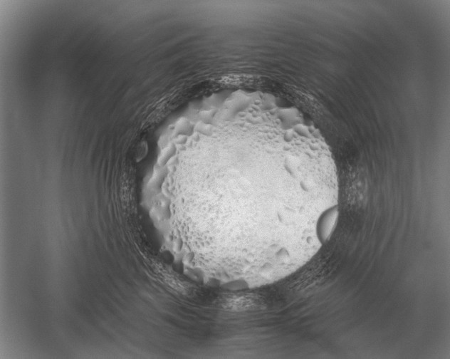 X0000051250569200507082153