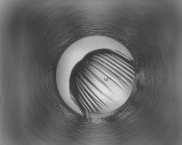 X0000051250570200507082153