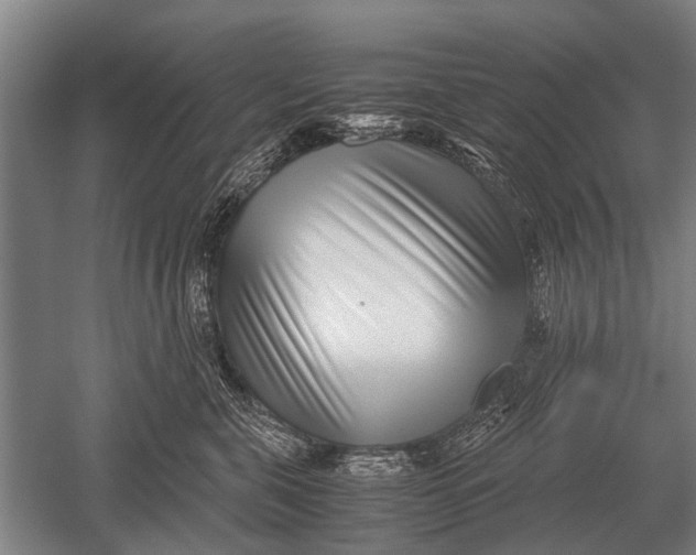 X0000051250571200507082153