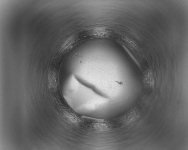 X0000051250572200507082153