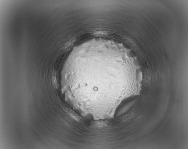 X0000051250573200507082153