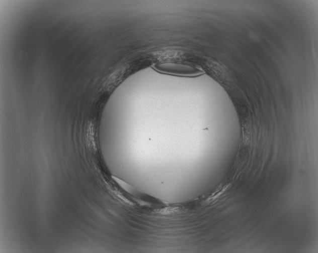 X0000051250575200507082153