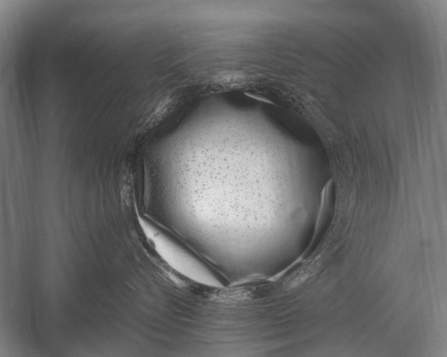 X0000051250576200507082153