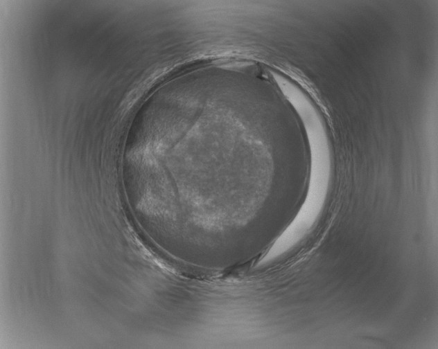 X0000051250577200507082152