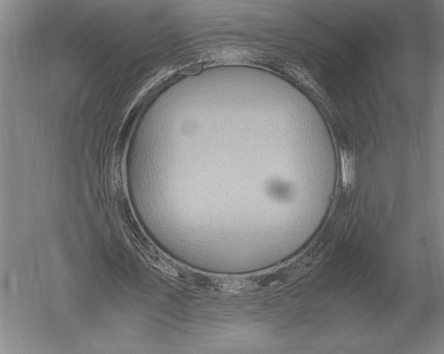 X0000051250579200507082152