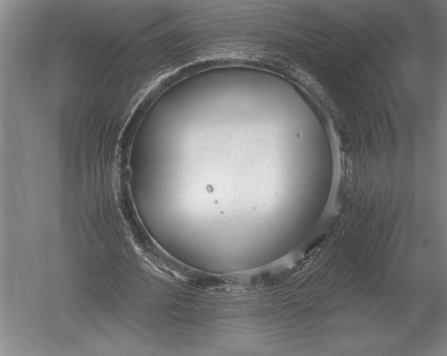 X0000051250580200507082152