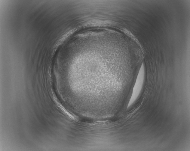 X0000051250581200507082152