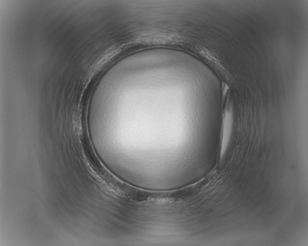 X0000051250582200507082152