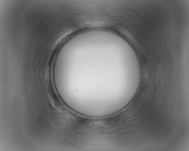 X0000051250583200507082152