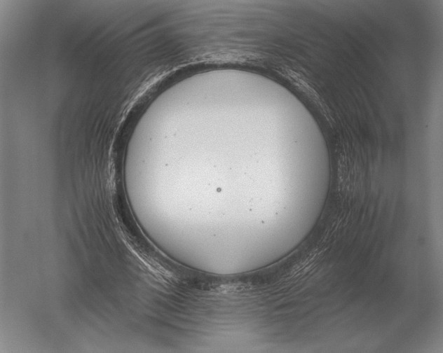 X0000051250584200507082152