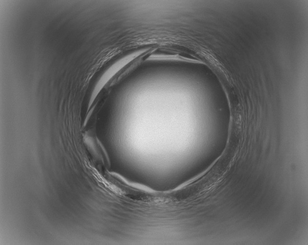 X0000051250585200507082152