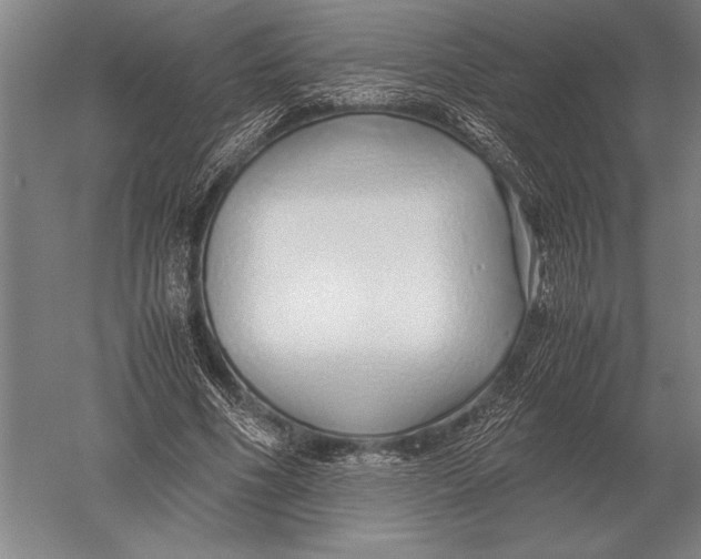 X0000051250586200507082152