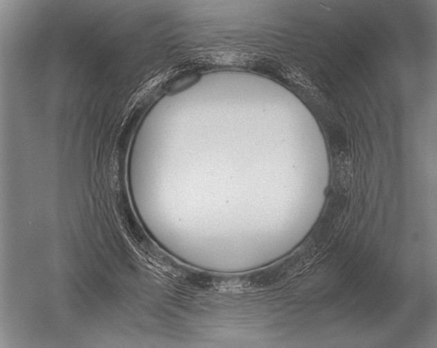 X0000051250587200507082152