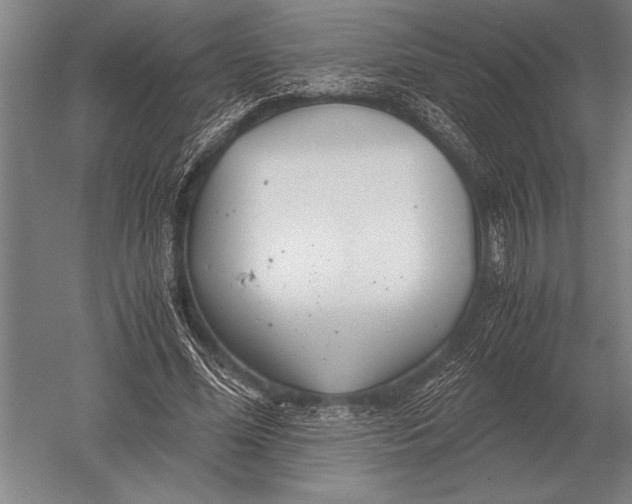 X0000051250588200507082152