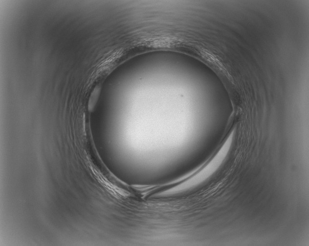 X0000051250589200507082152