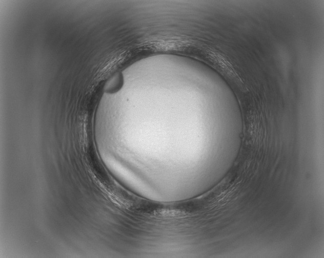 X0000051250590200507082152