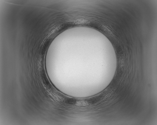 X0000051250591200507082152