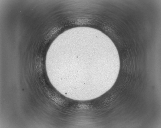 X0000051250592200507082152