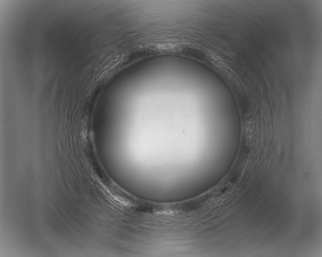 X0000051250593200507082152