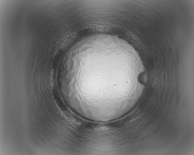 X0000051250594200507082152