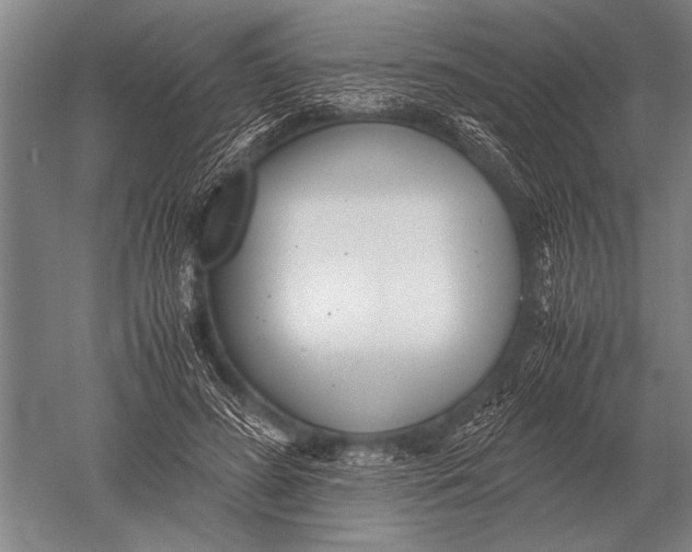 X0000051250596200507082152