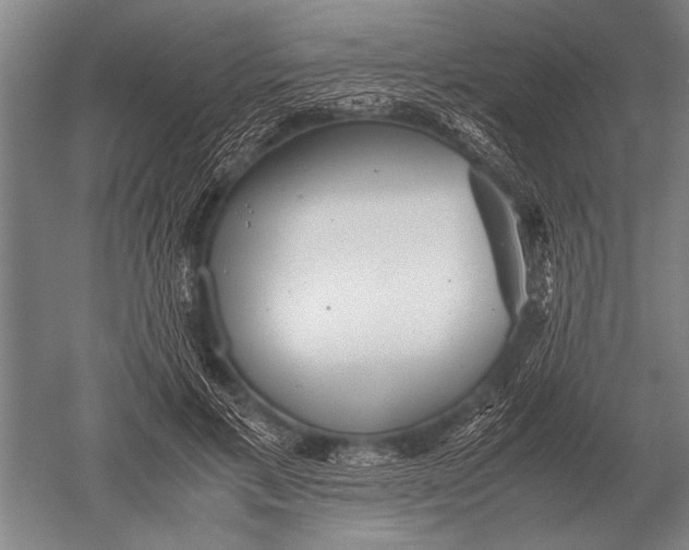 X0000051250597200507082152