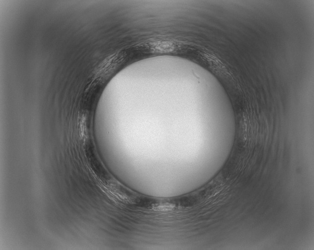 X0000051250598200507082152