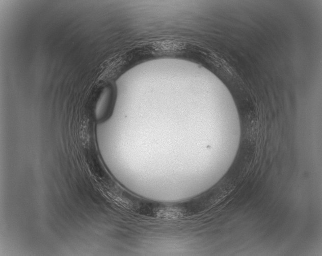 X0000051250599200507082152