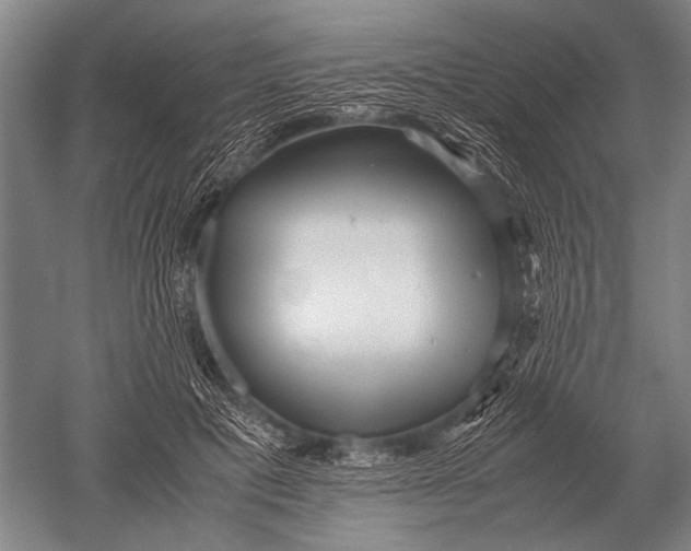 X0000051250601200507082152