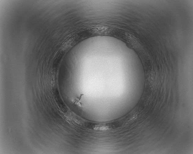 X0000051250602200507082152