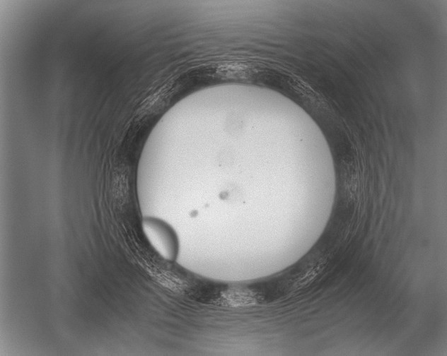 X0000051250603200507082152