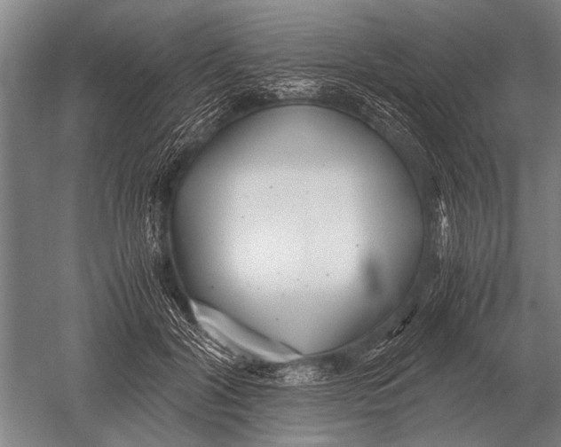 X0000051250604200507082152