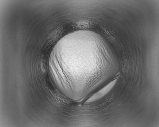 X0000051250606200507082152