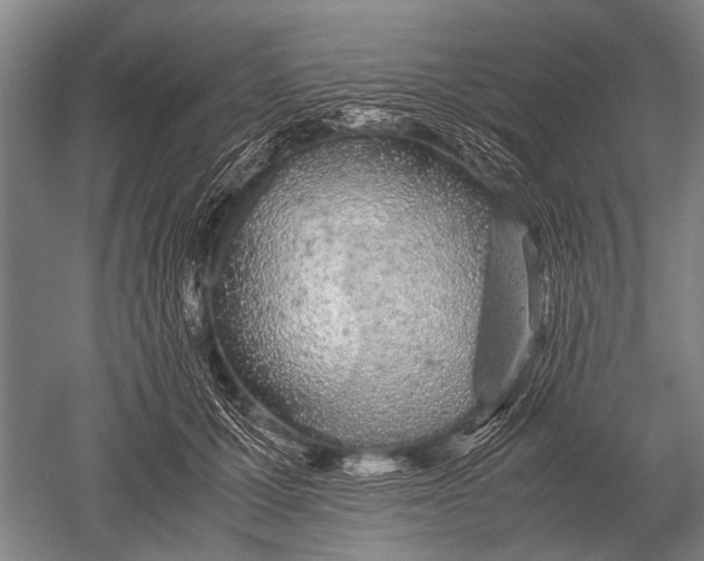 X0000051250607200507082152