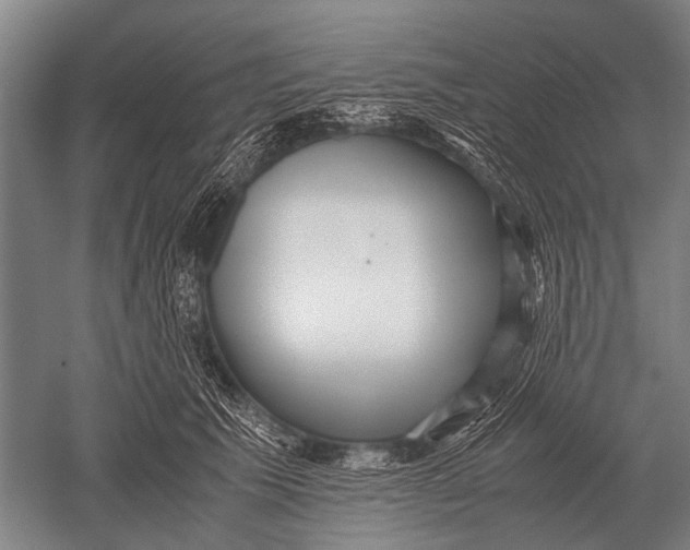 X0000051250609200507082152