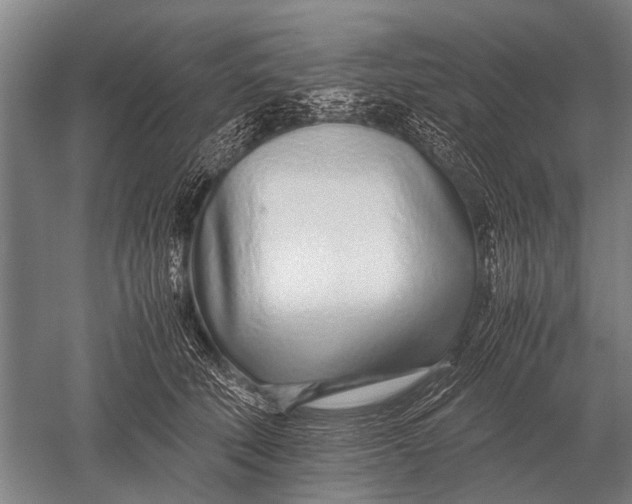 X0000051250610200507082152