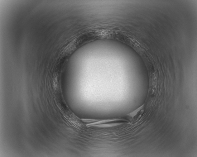 X0000051250611200507082152