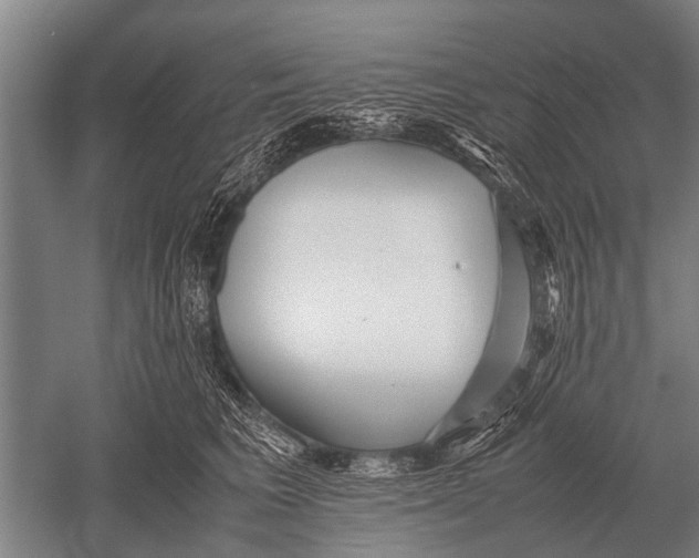 X0000051250613200507082152