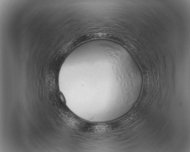 X0000051250615200507082152