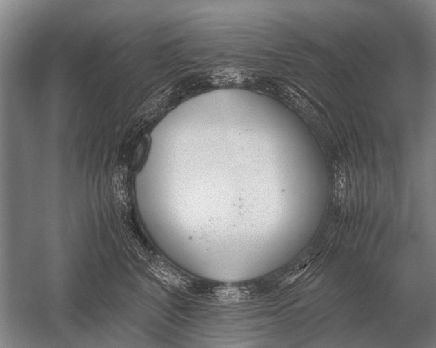 X0000051250616200507082152