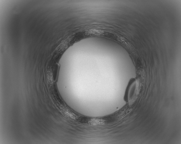 X0000051250617200507082152