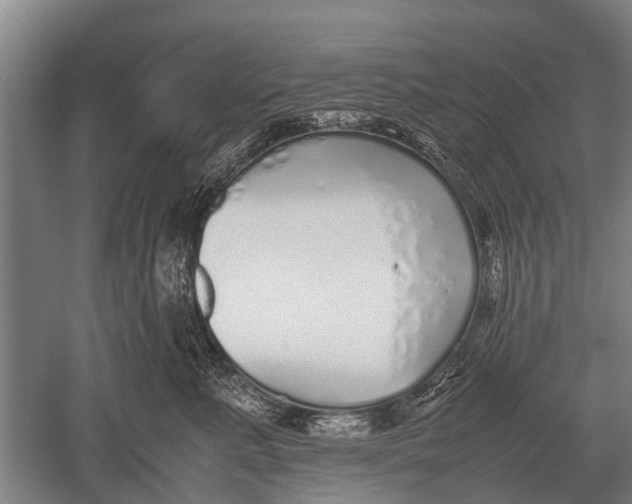 X0000051250619200507082152