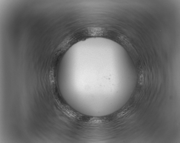 X0000051250620200507082152