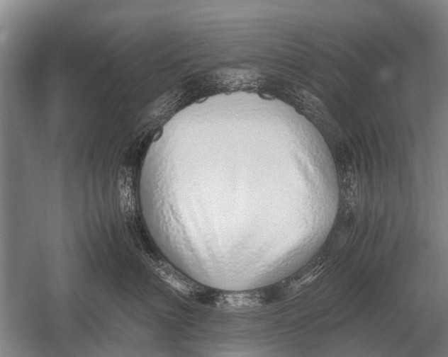 X0000051250622200507082152